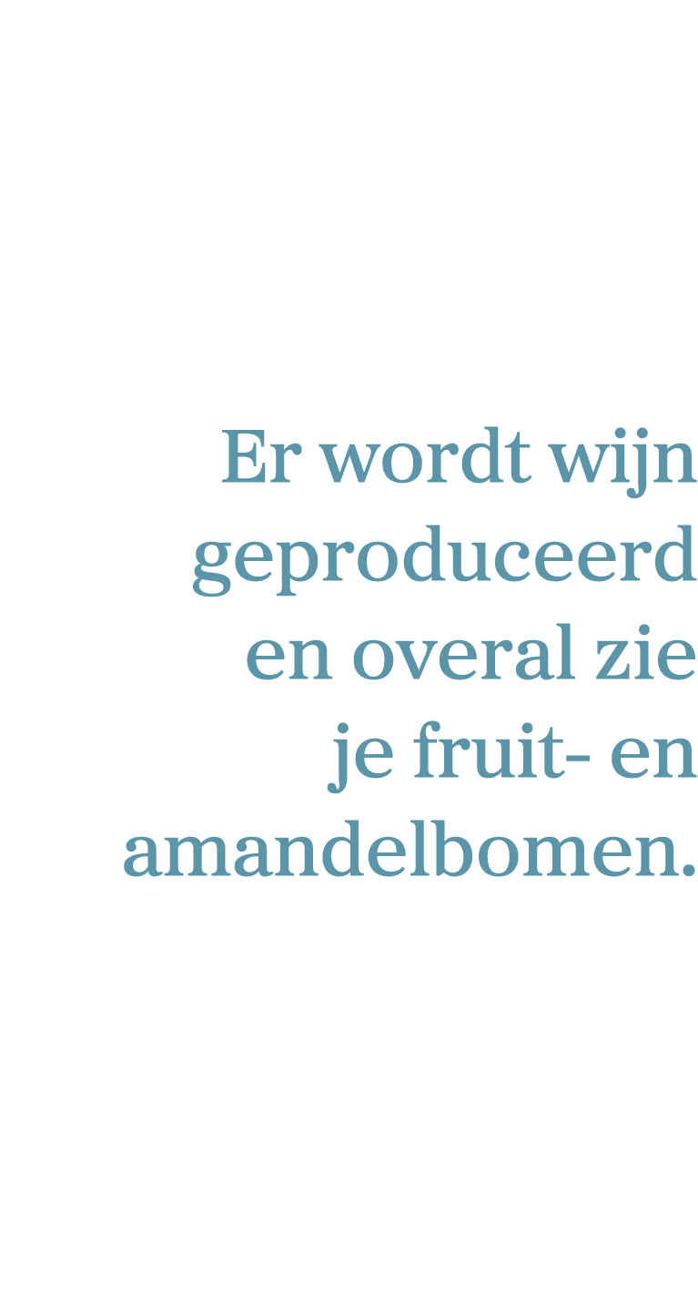 Er wordt wijn geproduceerd en overal zie je fruit en amandelbomen.