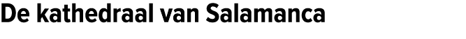 De kathedraal van Salamanca